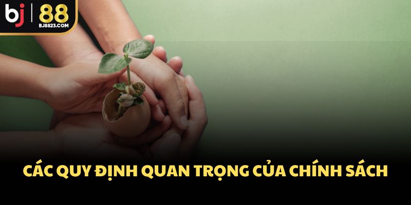 Các quy định quan trọng của chính sách